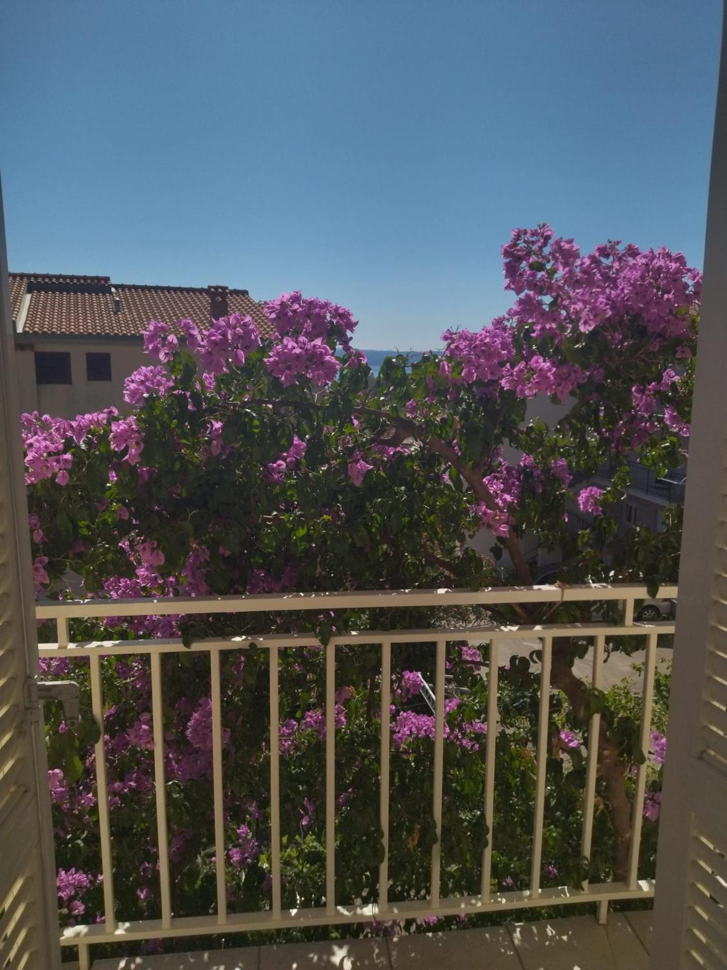 Apartmani Makarska Luaran gambar